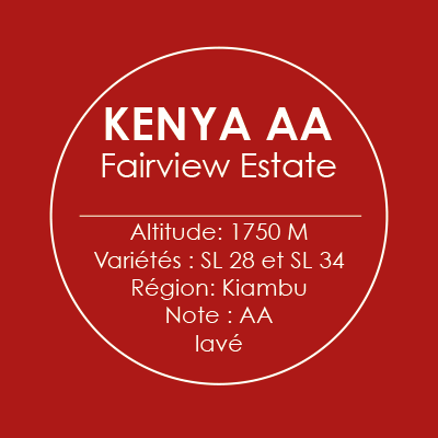 Kenya AA Fairview estate - Chapeau Moustache